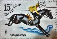 Лот: 12956887. Фото: 3. Марки Фауна. СССР. Лошади. Коневодство... Красноярск