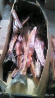 Лот: 13150975. Фото: 2. Хребты копчёные. Продукты