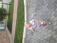 Лот: 2098758. Фото: 2. Летняя одежда для мальчика. Одежда и аксессуары