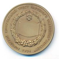 Лот: 25800365. Фото: 2. Россия 2004 Медаль Городской коммунальный... Значки, медали, жетоны