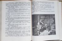 Лот: 16500733. Фото: 14. Гектор Мало - Без семьи. Фрэнсис...