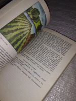 Лот: 11958608. Фото: 5. оз...Что должен знать и уметь...