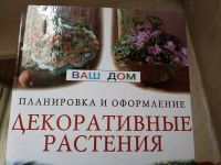 Лот: 19040794. Фото: 2. Декоративные растентя (планировка... Дом, сад, досуг