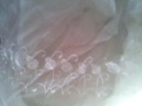 Лот: 11199441. Фото: 2. прозрачный тюль с цветами. Домашний текстиль