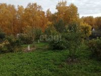 Лот: 25810523. Фото: 3. участок , садоводческое некоммерческое... Недвижимость