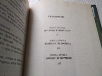 Лот: 19308640. Фото: 4. Джейкс Брайан Рэдволл. Саламандастрон...