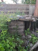 Лот: 14013060. Фото: 3. Вывоз мусора + уборка дачи. Услуги