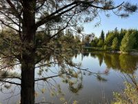 Лот: 25507334. Фото: 19. 2-комн. дача , садоводческое некоммерческое...