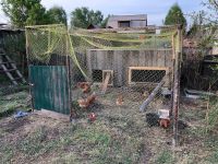 Лот: 22192123. Фото: 7. Отличная дача 45 м2 на 12,5 сотках...