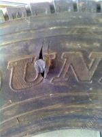 Лот: 2794473. Фото: 3. резина грузовая Dunlop 7.00R16... Авто, мото, водный транспорт