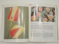 Лот: 19468081. Фото: 5. книга альбом нарциссы тюльпаны...