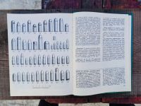 Лот: 21277591. Фото: 7. А.Б. Жук - Револьверы и пистолеты