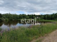 Лот: 25294549. Фото: 5. 1-комн. дача , СНТ Ласточка СНТ...