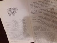 Лот: 12793035. Фото: 5. Три арбузных семечка 1987 СССР...