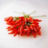 Лот: 386370. Фото: 2. супер жжжгучий комнатный перец... Комнатные растения и уход