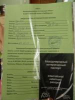 Лот: 3662910. Фото: 3. Британский котенок элитный редкий... Растения и животные