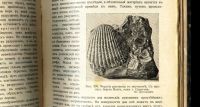 Лот: 18286859. Фото: 17. Профессор А.В. Ничаев. Минералогия...