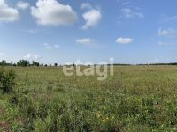 Лот: 23479306. Фото: 3. Продам участок 1153.3 сот. Северо-Енисейский. Красноярск