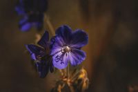 Лот: 10376090. Фото: 5. Sigma 28-200 1:3.5-5.6 Macro compact...