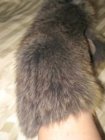 Лот: 13233116. Фото: 7. небольшой воротник -- натур. мех...