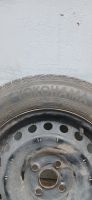 Лот: 25744537. Фото: 2. Шины Yokohama ice guard ig50 plus. Шины, Диски