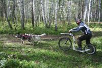 Лот: 6072015. Фото: 3. Скутер Traczer Bike's. Спортивные товары