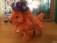 Лот: 8088899. Фото: 2. Игрушка собачка. Разбираем шкафы... Игрушки