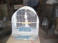 Лот: 3491325. Фото: 2. Клетка для попугаев. Животные и уход