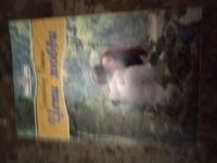 Лот: 25768685. Фото: 2. Книга Э. Бакли Цепи любви. Литература, книги