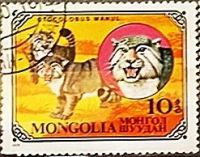 Лот: 12954022. Фото: 2. Марки Фауна. Монголия. Породы... Коллекционирование, моделизм