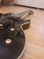 Лот: 10894002. Фото: 5. Schecter Hellraiser solo 6 special