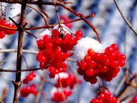 Лот: 4527309. Фото: 4. Sony Cyber-shot DSC-HX400 (почти... Красноярск