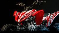 Лот: 25659400. Фото: 4. Квадроцикл MOTOLAND 250S. Красноярск