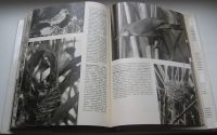 Лот: 18994045. Фото: 7. Франк Станислав. Иллюстрированная...
