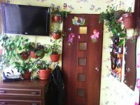 Лот: 3848987. Фото: 3. ДАЧА п. ЭЛИТА. Недвижимость