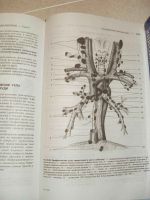 Лот: 16372723. Фото: 3. Топографическая анатомия. Под... Литература, книги