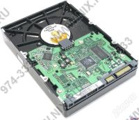 Лот: 248128. Фото: 2. HDD 500 Gb Samsung SpinPoint T166S. Комплектующие