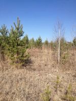 Лот: 6641412. Фото: 5. Участок под строительства коттеджа...