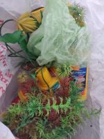 Лот: 16050363. Фото: 4. Аквариум. Красноярск