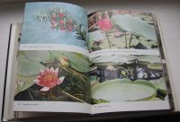 Лот: 18994070. Фото: 5. Новак Ф.А. Иллюстрированная энциклопедия...