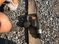 Лот: 14056011. Фото: 5. Перфоратор электромаш