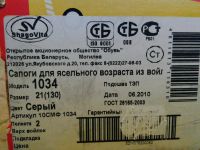 Лот: 6660106. Фото: 2. Валенки - сапоги войлочные ясельные... Обувь