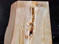 Лот: 4914287. Фото: 6. Самозарядный карабин СПОРТ (10х5...