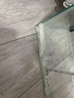 Лот: 25898937. Фото: 2. Аквариум, террариум. Аквариумистика