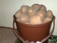 Лот: 9925214. Фото: 2. Картофель. Продукты