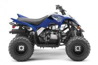 Лот: 25740265. Фото: 4. Квадроцикл YAMAHA YFM90R (Raptor... Красноярск