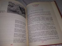 Лот: 18609610. Фото: 7. (1092334) Безумству храбрых поем...