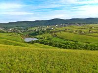 Лот: 5352693. Фото: 3. ДНТ "Тессели" д.Кузнецово участок... Недвижимость