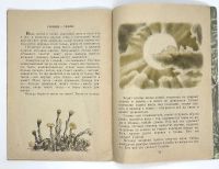 Лот: 25133532. Фото: 13. 📗 Как ходят деревья. Рассказы...