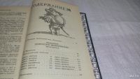 Лот: 7543118. Фото: 7. Правдивое комическое жизнеописание...
